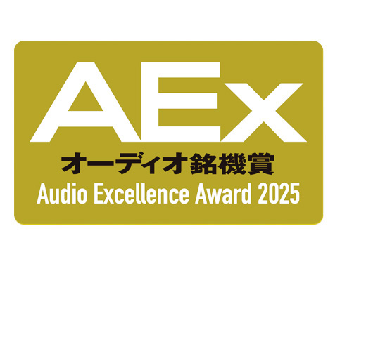 AEX 2025 Award