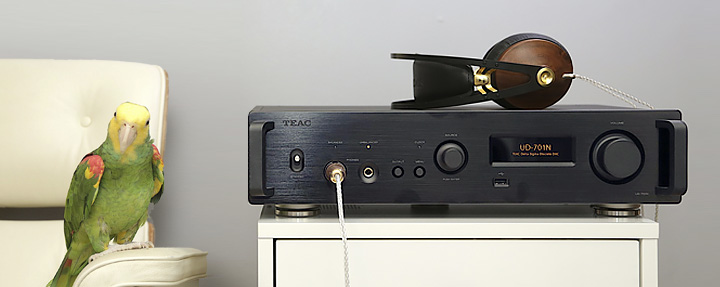 米Hi-Fi Chickenレビュー「UD-701N 単なるストリーマー以上の存在 － デジタルの目覚めを体験」